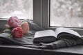 Cozy home still life: cup of hot coffee, spring flowers and opened book with warm plaid on windowsill against snow