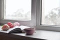 Cozy home still life: cup of hot coffee, spring flowers and opened book with warm plaid on windowsill against snow