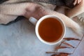 Cozy hot drink autumn mood, top view. Tea in white cup and knitted scarf Royalty Free Stock Photo