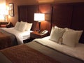 Cozy hotel room