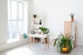 Cozy interior design of modern studio apartment in Scandinavian style. A spacious huge room in light colors with green Royalty Free Stock Photo