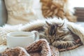 Cozy Kitten Slumbering Peacefully Beside Warm Coffee Mug