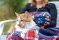 Cozy kitty on womans lap holding mug