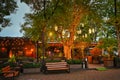 Cozy light illumination of a cafe in the Atazhukinsky Park