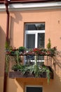 Cozy little balcony of the old house, twined with greenery and flowers