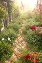 Cozy Little Rustic Shed with Stone and Brick Path in Cottage Garden in Fog Royalty Free Stock Photo