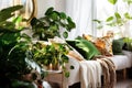 Cozy living room with indoor plants. Home gardening and biophilic design. Authentic home interior