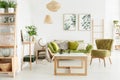 Cozy, green living room Royalty Free Stock Photo