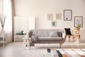 Cozy living room interior with sofa Royalty Free Stock Photo