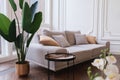 Cozy living room with a large sofa, houseplants, white walls and floor windows