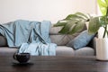 Cozy living room with sofa. Cup and kettle on table decorated mostera. Stay at home. Self isolation Royalty Free Stock Photo
