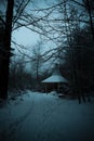 Cozy log cabin nestled in the heart of a snowy wooded area