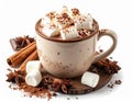 Cozy Mug of Hot Chocolate with Marshmallows and Cinnamon Sticks on White Background Royalty Free Stock Photo