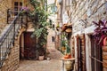 Cozy narrow Roman street in the old town of Budva. Flowers, plants, old bicycle, street lamp, wooden shutters. Montenegro, Balkans