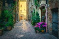Cozy narrow street decorated with flowers and green plants, Italy Royalty Free Stock Photo