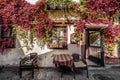 Cozy old courtyard in Antalya, near the swing street. green leaves of grapes or wine descend down the old wall of a shabby retro