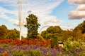 Cozy park full of vibrant blooming flowers surrounded by green growing trees and plants with London Eye on the background Royalty Free Stock Photo