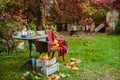 Cozy patio. Autumn leaves lie on a wooden antique round table with crockery cups and cookies and candles. Royalty Free Stock Photo