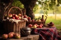 a cozy picnic area with roasted chestnuts and apples in a woven basket