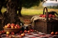 a cozy picnic area with roasted chestnuts and apples in a woven basket