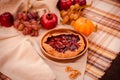 cozy picnic outdoors in fall with fruits and homemade bakery