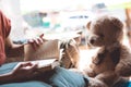 Cozy pillow and girl, reading a book.