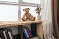 Cozy place for rest with book shelf near window in room Royalty Free Stock Photo