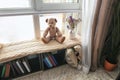 Cozy place for rest with book shelf near window in room Royalty Free Stock Photo