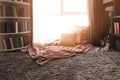 Cozy place for rest with pillows and soft plaid near window in room Royalty Free Stock Photo