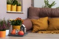 Cozy Place to Relax on Balcony or Terrace with Cute Autumn Hygge Home Decor and Blooming Flowers.