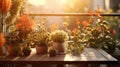 cozy plant table blur sunlit