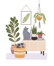 Cozy room interior with cat sitting on cupboard or sideboard, houseplants in pots, wall picture, basket. Composition