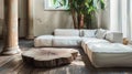 Rustic Chic Living Room with White Low Sofa and Wood Accents