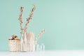 Cozy rustic home decor - beige dry flowers, plants in glass bottles, wicker basket, bunch twigs on green mint menthe wall, white. Royalty Free Stock Photo
