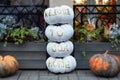 Cozy scary porch of the house with orange and white pumpkins in fall time. Halloween design home. Street decoration thanksgiving. Royalty Free Stock Photo