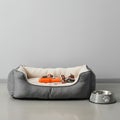 A cozy setup for a pet features a soft, rectangular gray pet bed with cream-colored Royalty Free Stock Photo