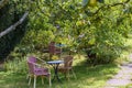 Cozy sitting areas made of wicker chairs and tables in a romantic orchard