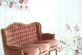 A cozy sofa in a classic style in the room on a sunny day, floral spring decor of artificial flowers on a white wall. Design and Royalty Free Stock Photo