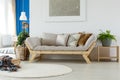 Cozy sofa in eco room