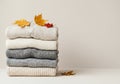 A cozy stack of soft, folded sweaters in neutral tones, accented with autumn leaves and red berries Royalty Free Stock Photo