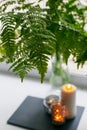 Cozy still life: fern bouquet, burning candle on windowsill. Minimal unplug calmness relax concept, seasonal weekend, spa,