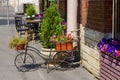 Cozy street cafe in city, beautifully decorated with flowers and bike Royalty Free Stock Photo