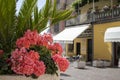 Cozy street with colorful flowers near a cafe in Italy, Calabria. Traditional colorful Italy, charming old streets of the city