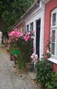 Cozy street, houses grown with roses Royalty Free Stock Photo