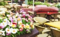 Cozy street outdoor cafe with fresh flowers Royalty Free Stock Photo