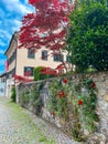 Cozy streets of Bregenz upper town - Oberstadt Royalty Free Stock Photo