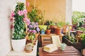 Cozy summer balcony with many potted plants