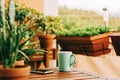 Cozy summer balcony with many potted plants Royalty Free Stock Photo