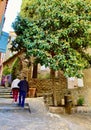 Cozy town of Bormes les Mimosas in the south of France