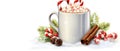 A mug of hot chocolate with marshmallows and candy canes